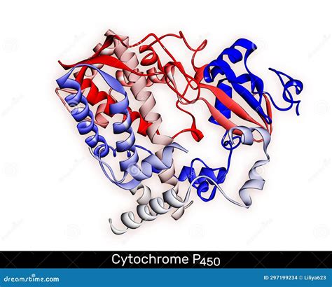 fqpm4enxyms -site:youtube.com|Cytochrome P450 .